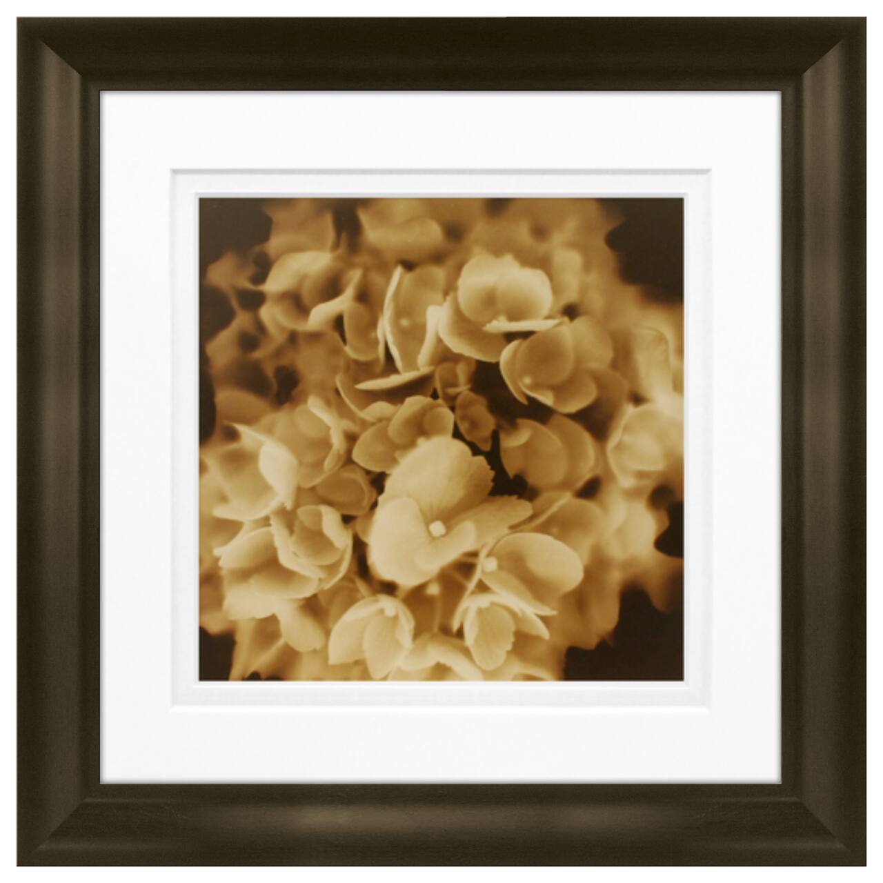 Timeless Frames® Snowball Floral Framed Print Wall Art